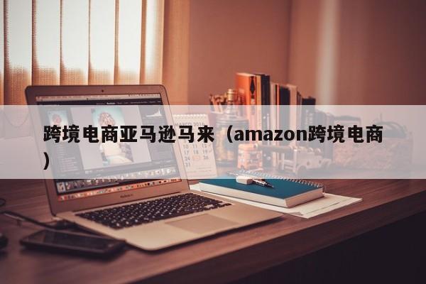 跨境电商亚马逊马来（amazon跨境电商）