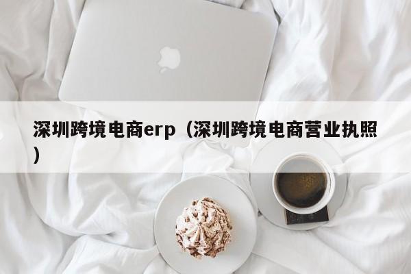 深圳跨境电商erp（深圳跨境电商营业执照）