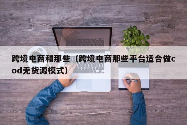 跨境电商和那些（跨境电商那些平台适合做cod无货源模式）