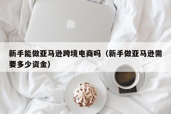 新手能做亚马逊跨境电商吗（新手做亚马逊需要多少资金）