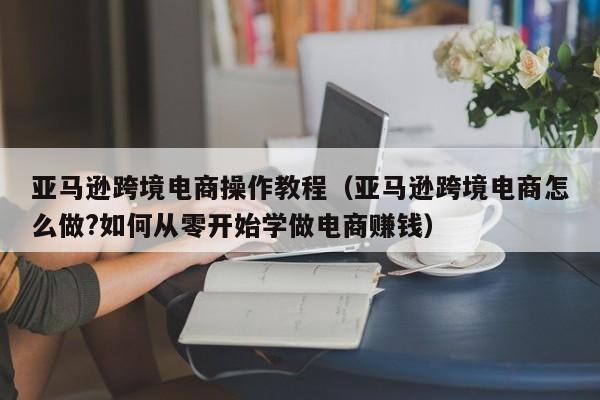 亚马逊跨境电商操作教程（亚马逊跨境电商怎么做?如何从零开始学做电商赚钱）