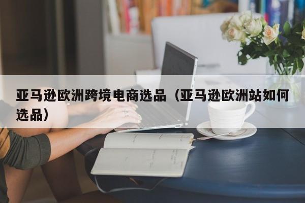 亚马逊欧洲跨境电商选品（亚马逊欧洲站如何选品）