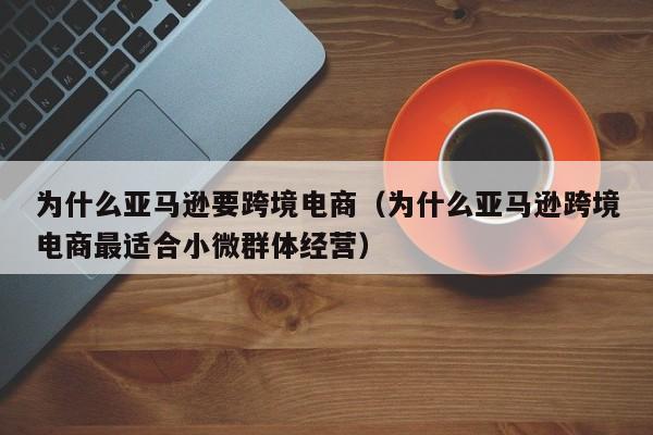 为什么亚马逊要跨境电商（为什么亚马逊跨境电商最适合小微群体经营）