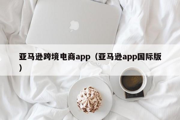 亚马逊跨境电商app（亚马逊app国际版）