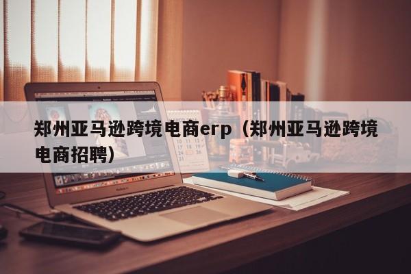 郑州亚马逊跨境电商erp（郑州亚马逊跨境电商招聘）