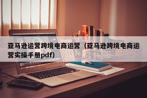 亚马逊运营跨境电商运营（亚马逊跨境电商运营实操手册pdf）