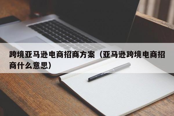 跨境亚马逊电商招商方案（亚马逊跨境电商招商什么意思）