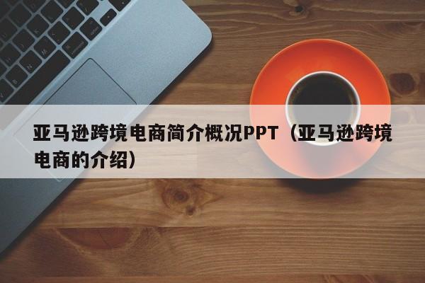 亚马逊跨境电商简介概况PPT（亚马逊跨境电商的介绍）