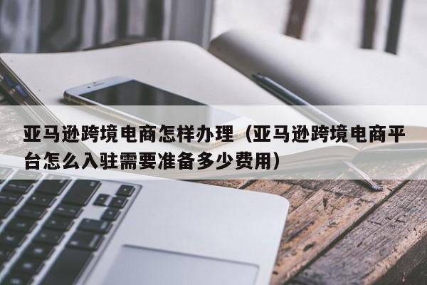 亚马逊跨境电商怎样办理（亚马逊跨境电商平台怎么入驻需要准备多少费用）