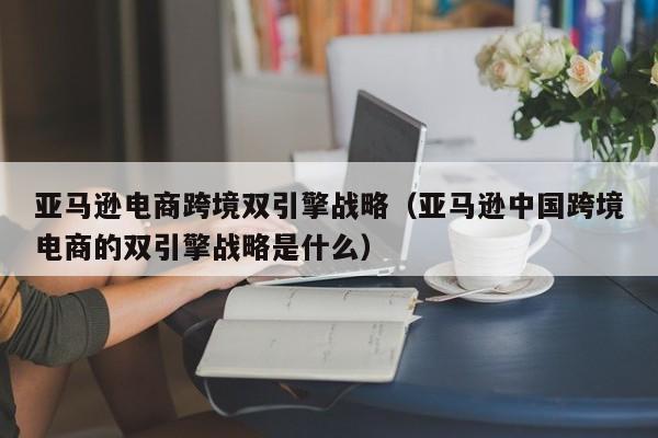 亚马逊电商跨境双引擎战略（亚马逊中国跨境电商的双引擎战略是什么）