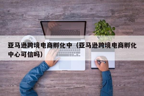 亚马逊跨境电商孵化中（亚马逊跨境电商孵化中心可信吗）