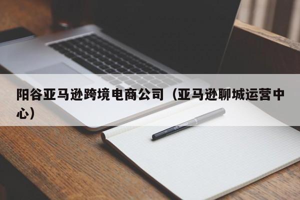 阳谷亚马逊跨境电商公司（亚马逊聊城运营中心）