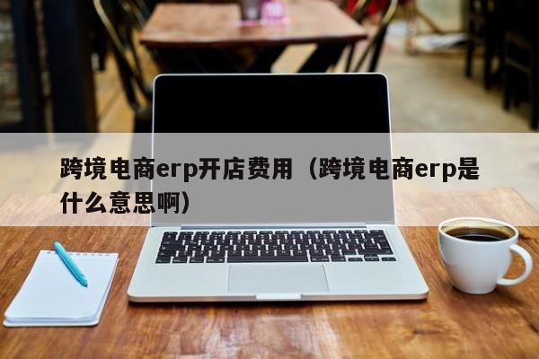 跨境电商erp开店费用（跨境电商erp是什么意思啊）