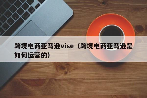 跨境电商亚马逊vise（跨境电商亚马逊是如何运营的）