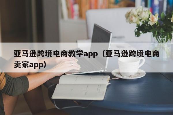 亚马逊跨境电商教学app（亚马逊跨境电商卖家app）