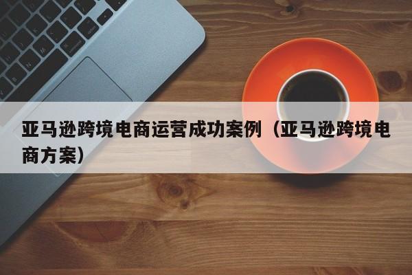 亚马逊跨境电商运营成功案例（亚马逊跨境电商方案）