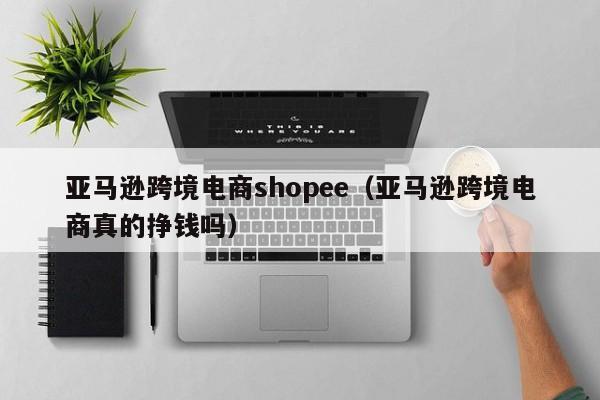 亚马逊跨境电商shopee（亚马逊跨境电商真的挣钱吗）