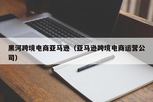 黑河跨境电商亚马逊（亚马逊跨境电商运营公司）