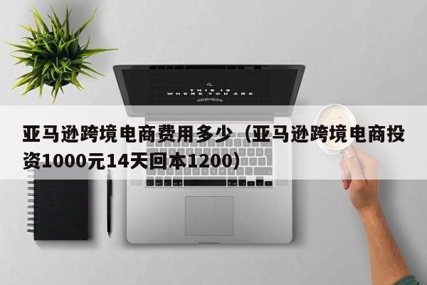 亚马逊跨境电商费用多少（亚马逊跨境电商投资1000元14天回本1200）