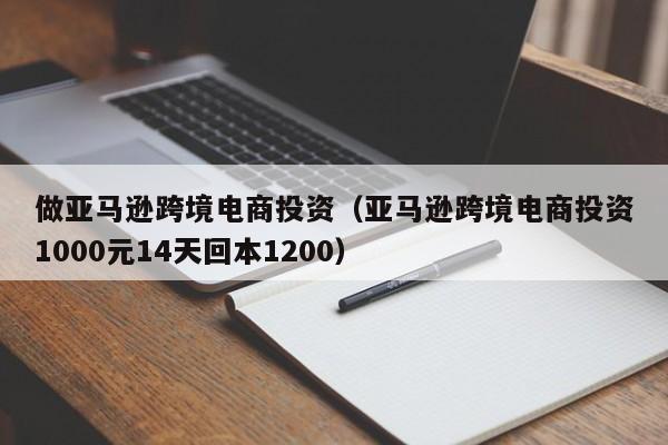 做亚马逊跨境电商投资（亚马逊跨境电商投资1000元14天回本1200）