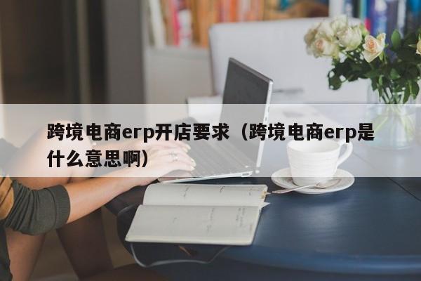 跨境电商erp开店要求（跨境电商erp是什么意思啊）