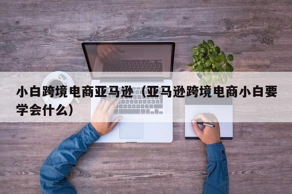 小白跨境电商亚马逊（亚马逊跨境电商小白要学会什么）