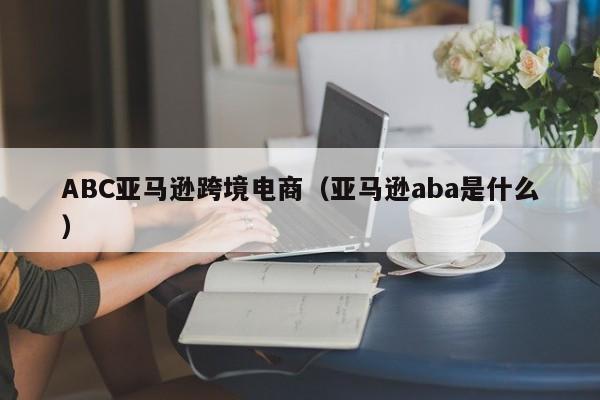 ABC亚马逊跨境电商（亚马逊aba是什么）