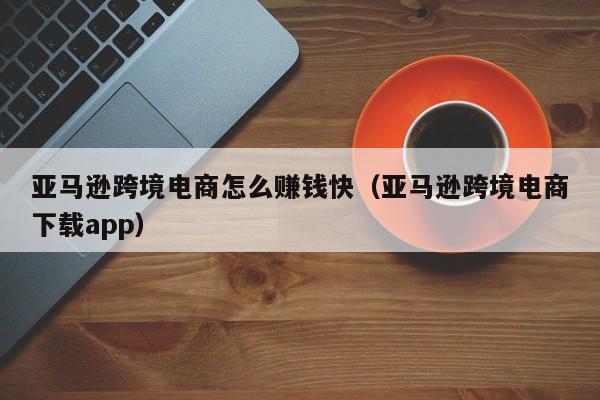 亚马逊跨境电商怎么赚钱快（亚马逊跨境电商下载app）