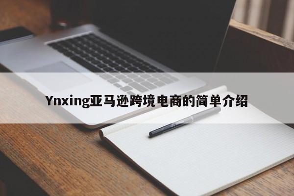 Ynxing亚马逊跨境电商的简单介绍