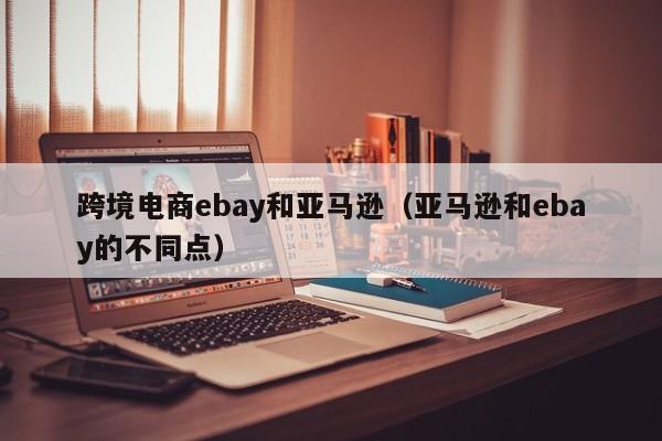 跨境电商ebay和亚马逊（亚马逊和ebay的不同点）