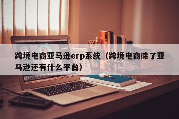 跨境电商亚马逊erp系统（跨境电商除了亚马逊还有什么平台）