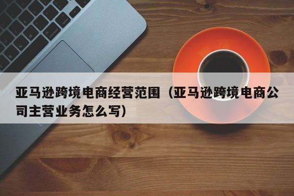 亚马逊跨境电商经营范围（亚马逊跨境电商公司主营业务怎么写）