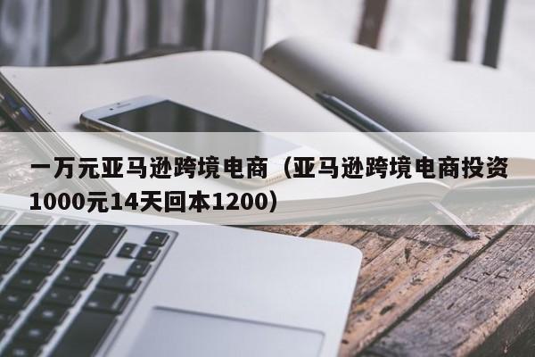 一万元亚马逊跨境电商（亚马逊跨境电商投资1000元14天回本1200）