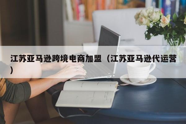 江苏亚马逊跨境电商加盟（江苏亚马逊代运营）