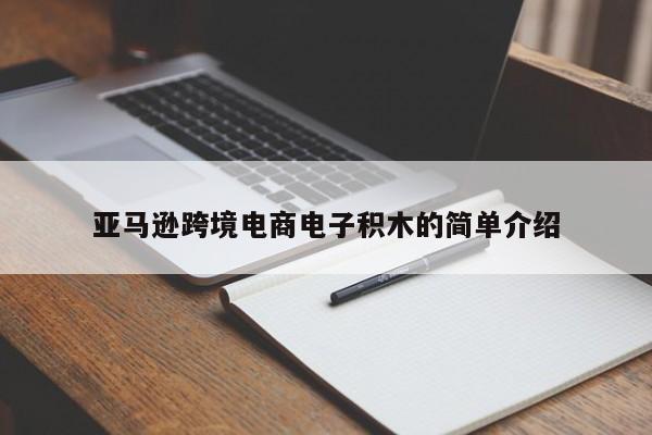 亚马逊跨境电商电子积木的简单介绍