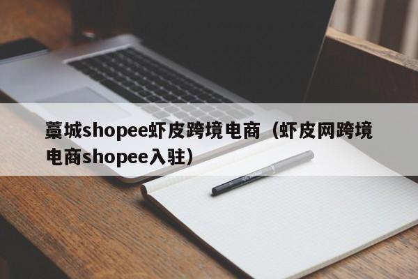 藁城shopee虾皮跨境电商（虾皮网跨境电商shopee入驻）