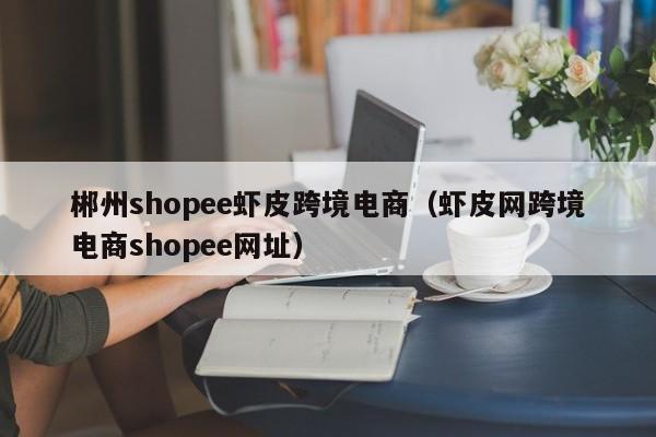 郴州shopee虾皮跨境电商（虾皮网跨境电商shopee网址）