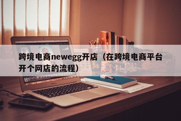 跨境电商newegg开店（在跨境电商平台开个网店的流程）