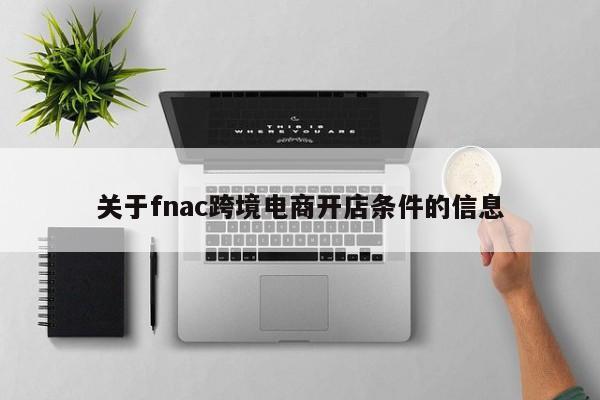 关于fnac跨境电商开店条件的信息