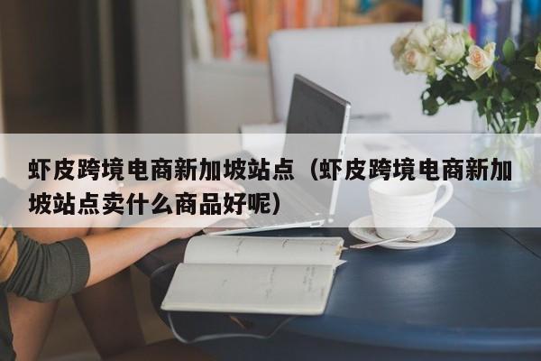 虾皮跨境电商新加坡站点（虾皮跨境电商新加坡站点卖什么商品好呢）