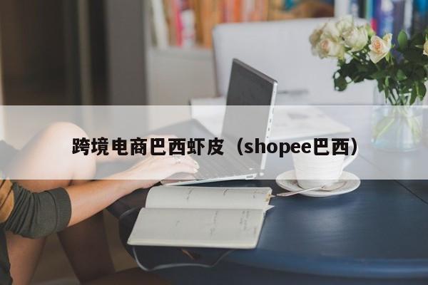 跨境电商巴西虾皮（shopee巴西）