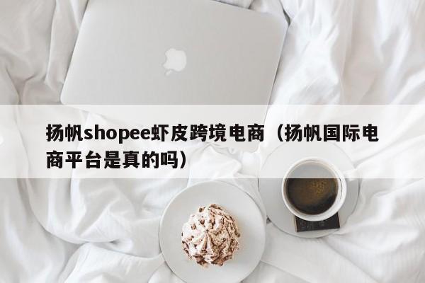 扬帆shopee虾皮跨境电商（扬帆国际电商平台是真的吗）