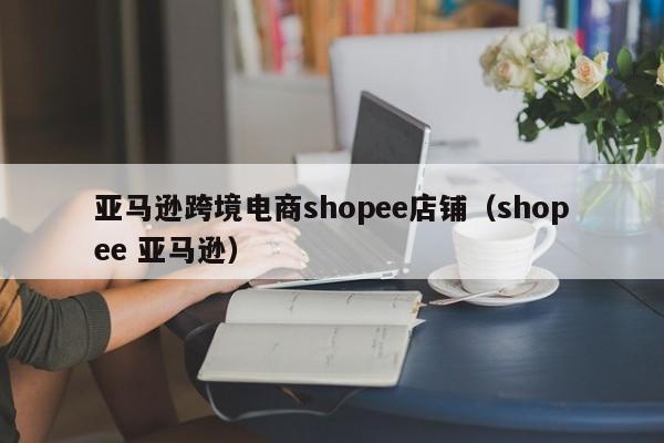 亚马逊跨境电商shopee店铺（shopee 亚马逊）