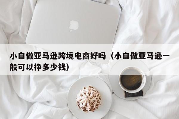 小白做亚马逊跨境电商好吗（小白做亚马逊一般可以挣多少钱）