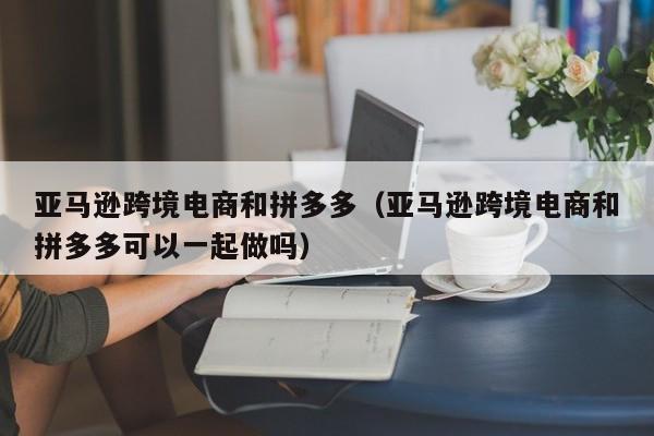 亚马逊跨境电商和拼多多（亚马逊跨境电商和拼多多可以一起做吗）