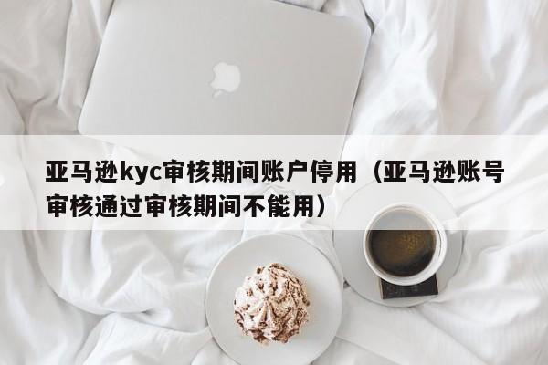 亚马逊kyc审核期间账户停用（亚马逊账号审核通过审核期间不能用）