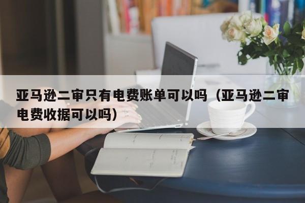 亚马逊二审只有电费账单可以吗（亚马逊二审电费收据可以吗）